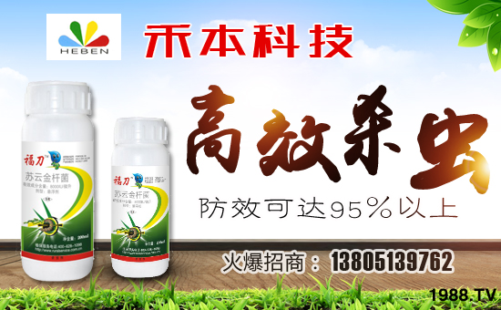 �B�Ƹۺ̱�����Ƽ����޹�˾