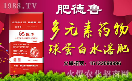 �����_���S���ʡ�ף������w�������H�Қg����