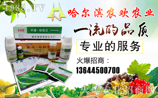 �����I�r(n��ng)�g�r(n��ng)�I(y��)�Ƽ����޹�˾