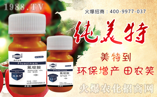 ɽ�|��������Ƽ����޹�˾