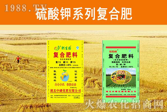 �����׻��ʡ���ף����´��옷(l��)�����w�������H���Ҹ����f(w��n)�����⣡