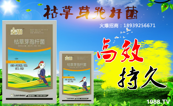 �������f(w��n)������o�V��͑���������ף����u��󼪣����\(y��n)�B�B��