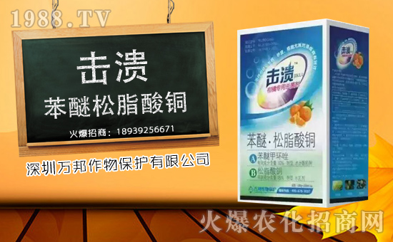 �������f(w��n)������o�V��͑������ˣ�ף����u��������\(y��n)�B�B��