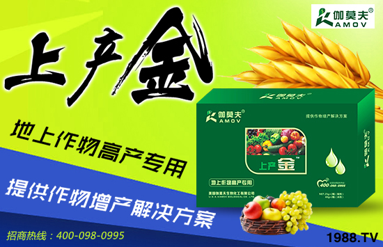 ������(gu��)٤Ī�������ȫ��(gu��)�����������