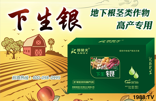 ������(gu��)٤Ī�������ȫ��(gu��)�����������