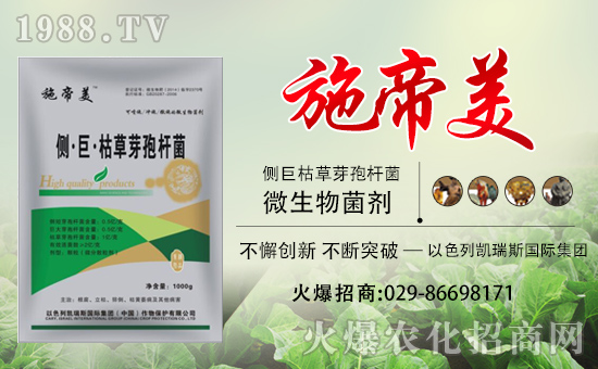 ���P��˹���F(tu��n)��ף��������d¡���H�Қg��(l��)��