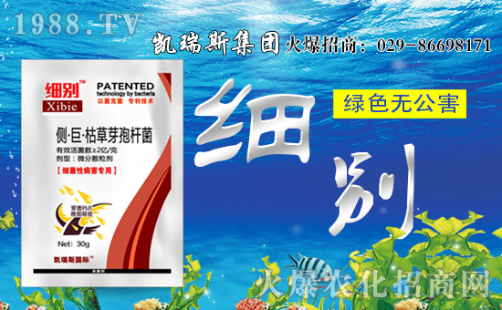 ���P��˹���F(tu��n)��ף��������d�����H�Қg��(l��)��