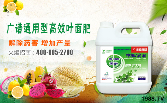 ��(gu��)��Ĭ������I(y��ng)�B(y��ng)��˾2