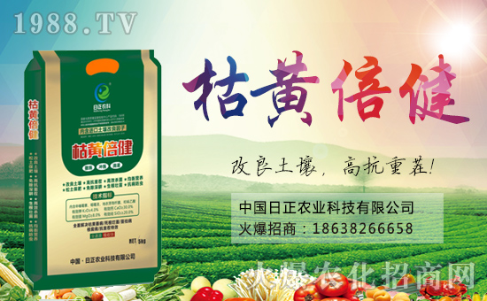 �������r(n��ng)�ơ�Ը���_���^������ؔԴ�L�L����