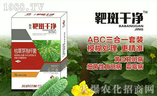 ���K��ӡ��ף���2017�������³�������������H�Қg����