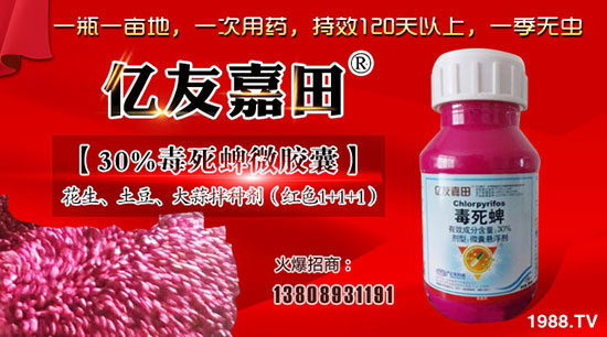 ���σ|���r(n��ng)�I(y��)�Ƽ����޹�˾-1