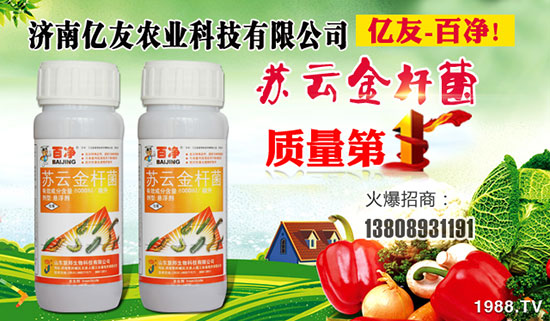 ���σ|���r(n��ng)�I(y��)�Ƽ����޹�˾