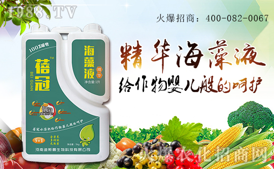 ���ϵ�˹������Ƽ����޹�˾1