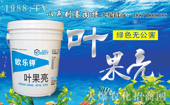 ��ِ���ء���ף���Ͽ͑��u���д��\(y��n)��ؔ(c��i)Դ�L�L��(l��i)��