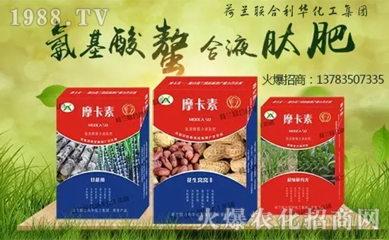 ���m(li��n)�����A�������F(tu��n)