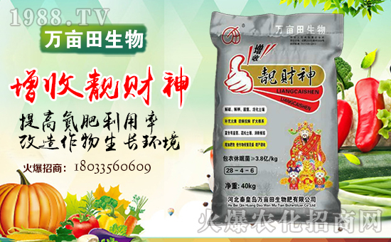 �ػʍu�f������������޹�˾