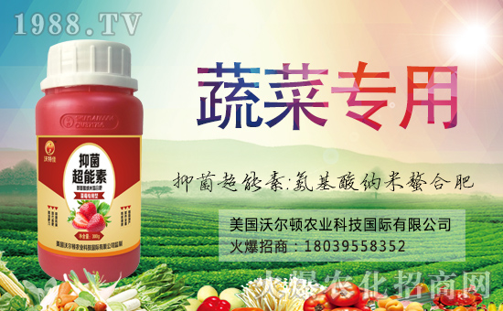 ������(gu��)�֠��D����ף�������옷(l��)���f(w��n)��������