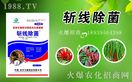 ���S�f(w��n)¡ȫ�w�T��ף����������