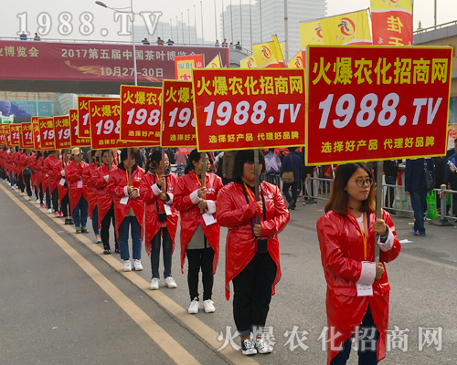 2017年山東植保會，農(nóng)化招商效果強！