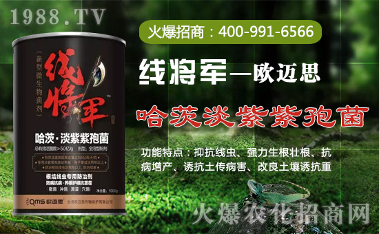 ���W�~˼��ȫ�w�T����ףȫ����(j��ng)�N�����w���������꼪����