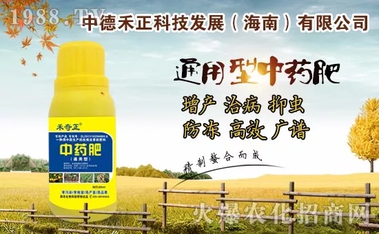 �����������еº���ף��������w������ؔԴ�L�L����