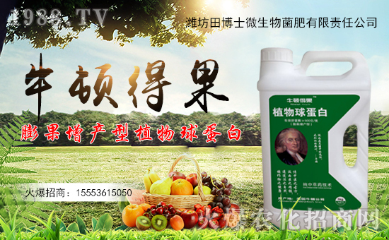 �o�fӭ�����ﲩʿף������_������f��������