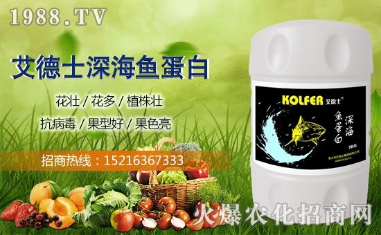 ӭ�´������굽������ʿף����µ�һ������¶��!Ц�ݶ��!