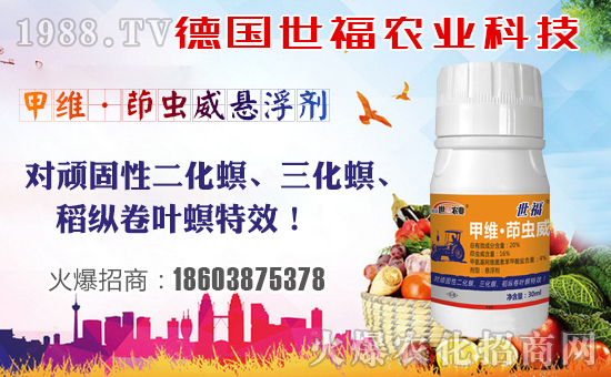 ����(gu��)������ף����µ�һ�����f(w��n)����������(m��ng)�������