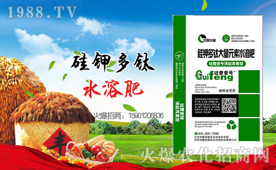 ����(li��n)��(chu��ng)�¡�ף������µ�һ�������w�������H�Қg��!