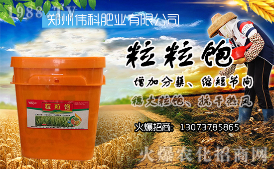 �����ƷʘI(y��)��ף������µ�һ����ؔ(c��i)Դ�L�L��(l��i)��