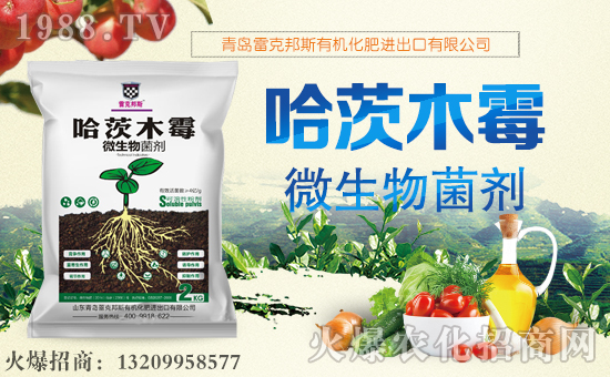 ���׿˰�˹��ף������µ�һ�����Ҹ����M���H�Қg����