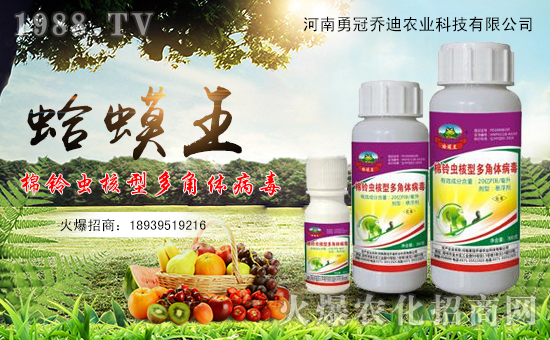 ���¹چ̵ϡ�ף������µ�һ�����f���������������