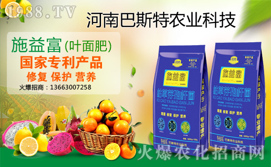 ����˹���r(n��ng)�I(y��)��ף������µ�һ�������w���������������