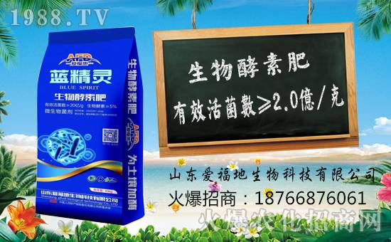 ���۸������ף������µ�һ�������w���������꼪����