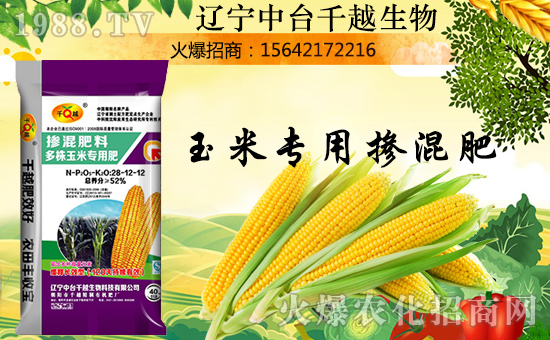 �����_ǧԽ����Ȯߵ푼����T������ؔԴ�L�L�M(j��n)