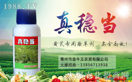 ����ţ����ף��ҹ�������f�����⣡