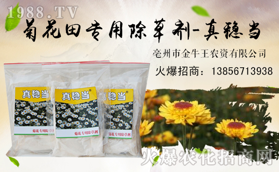 ����ţ����ף��ҹ�������f��������