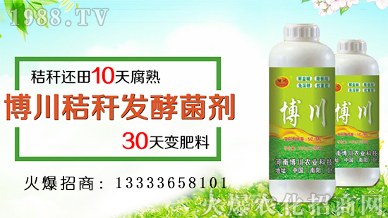 �������r(n��ng)�I(y��)��������ף�������옷���f��������