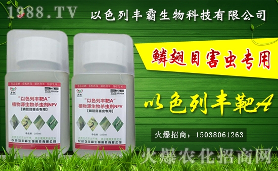 ���S�����ȫ�w�T����ף����´��옷�������d����