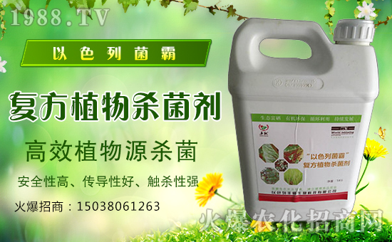 ���S�����ȫ�w�T����ף����´��옷�������d����