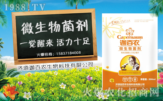 ���Ȱ��r(n��ng)����ף����´��옷���Ҹ�������