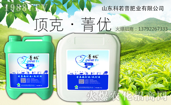 ɽ�|�����շʘI(y��)���޹�˾