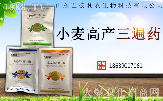 ɽ�|�͵����r(n��ng)����Ƽ����޹�˾