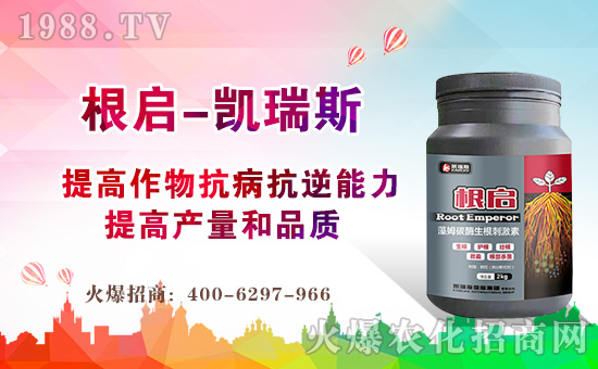 ���P��˹���H��ף������µ�һ�����H�Қg�����Ҹ����M��