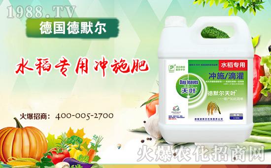 ����(gu��)��Ĭ����ף���2018��������\(y��n)�������ո�������