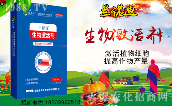 �����������ף������µ�һ���﹤�����������������