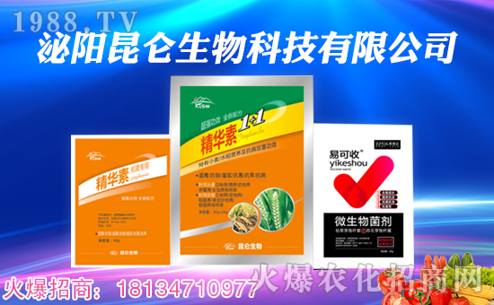 ���������ף��ҹ��������������t�t���