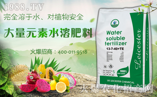 ʯ���f�Aͥ����Ƽ����޹�˾