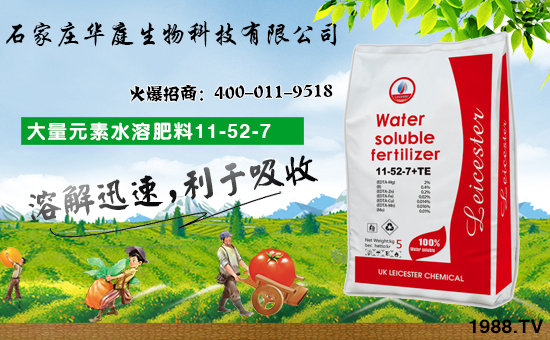 ʯ���f�Aͥ����Ƽ����޹�˾