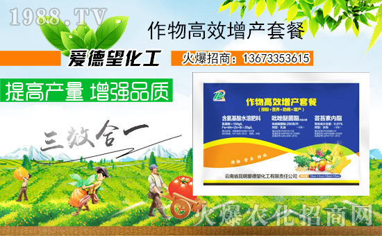 ���a(ch��n)�ײ�